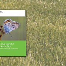 Titelcover "Aktionsprogramm Insektenschutz"